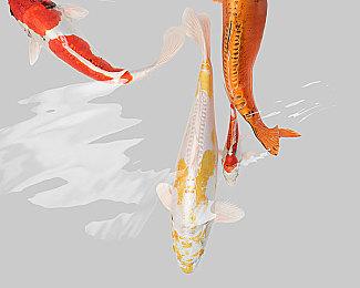 中村育美新作可能是恐怖、科幻和超自然游戏